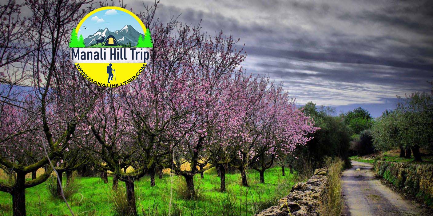 Manali Hill Trip